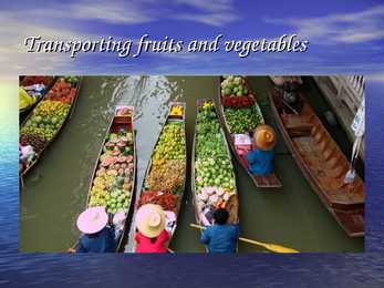 Thailand Taimaa #12