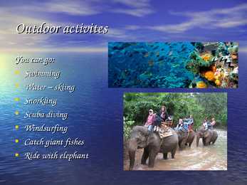Thailand Taimaa #5