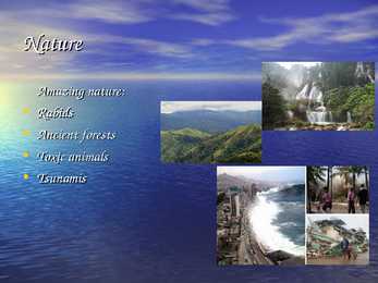 Thailand Taimaa #6