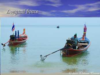 Thailand Taimaa #9