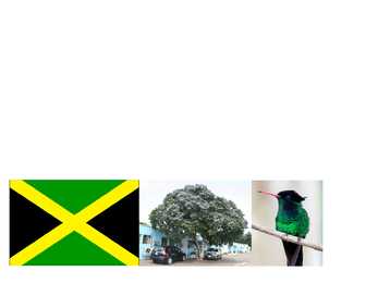 Jamaica #4