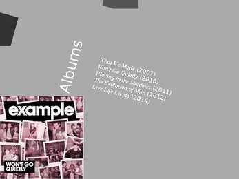 Example #5