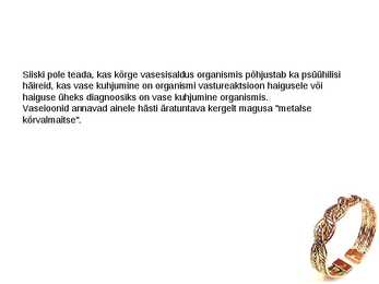 VASK 1 #11
