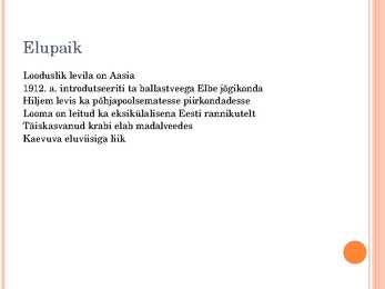 HIINA VILLKÄPPKRABI #4