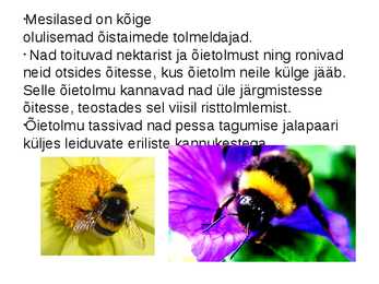 Mesilased #3