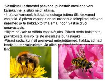 Mesilased #7