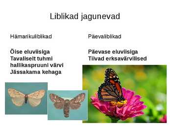 Liblikad #2