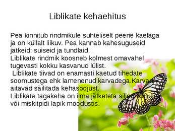 Liblikad #3