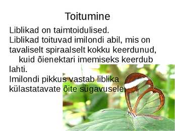 Liblikad #4