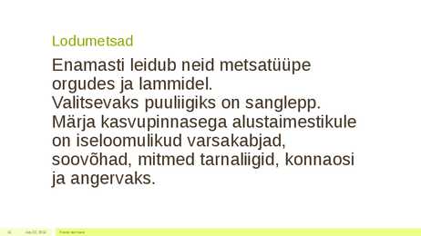 Metsakooslus #11