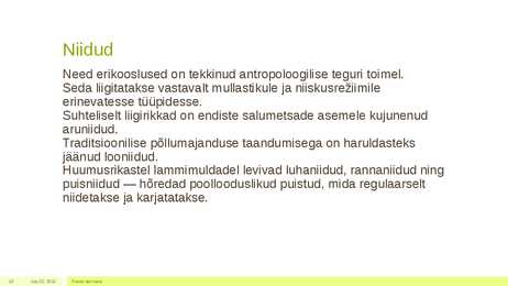 Metsakooslus #13