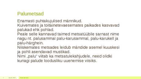 Metsakooslus #7