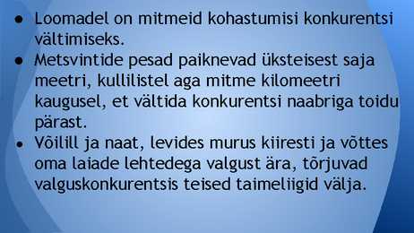 KONKURENTS #4