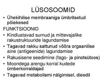 Raku ehitus ja talitlus #13