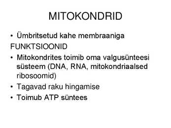Raku ehitus ja talitlus #14