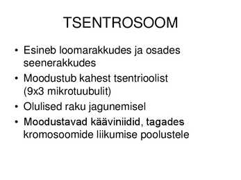 Raku ehitus ja talitlus #16