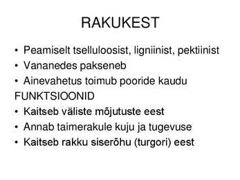 Raku ehitus ja talitlus #18