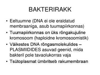 Raku ehitus ja talitlus #24