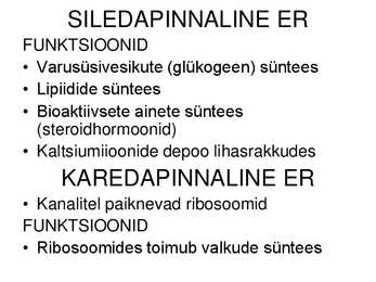 Raku ehitus ja talitlus #10