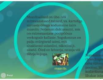 Huuleõielised-maavitsalised-esitlus #10