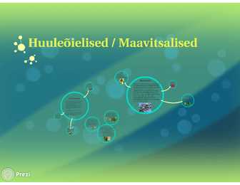 Huuleõielised-maavitsalised-esitlus