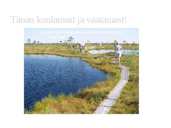 Soomaa rahvuspark #8