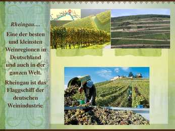 Rheingau-Riesling #2