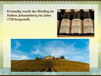 Rheingau-Riesling #3