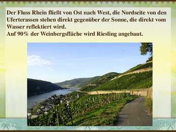 Rheingau-Riesling #4