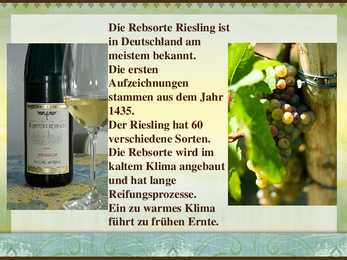 Rheingau-Riesling #5