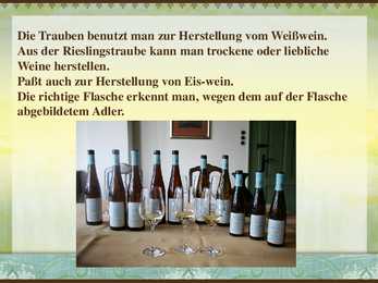 Rheingau-Riesling #6