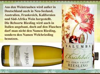 Rheingau-Riesling #7