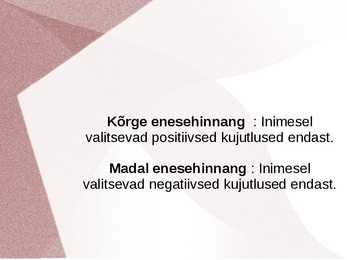 Psühholoogia - minakontseptsioon-enesehinnang-hoiakud #8
