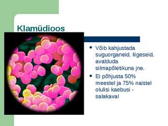 SUGULISEL TEEL LEVIVAD HAIGUSED #15