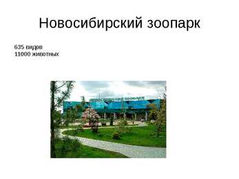 Venemaa linn Novosibirsk #6
