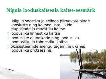 Nigula looduskaitseala #4