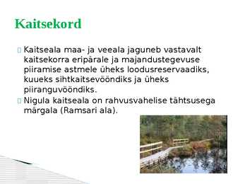 Nigula looduskaitseala #6