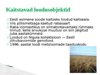 Nigula looduskaitseala #7