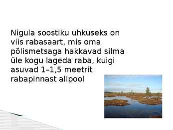 Nigula looduskaitseala #8