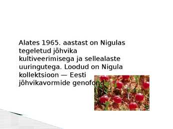 Nigula looduskaitseala #9