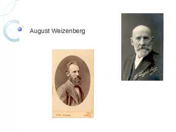August Weizenberg