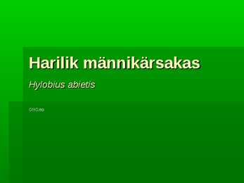 Harilik männikärsakas