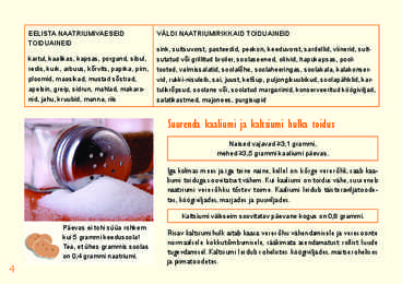 Tasakaalustatud toitumine #6