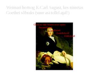 Noore Wertheri kannatused- taustad #28