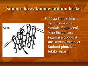 KUDUMINE #11