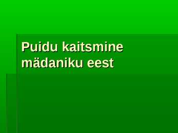 Puidu kaitsmine mädaniku eest