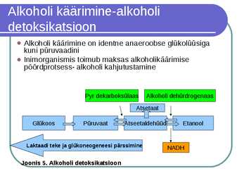 Süsivesikute ainevahetus ja labordiagnostika #14
