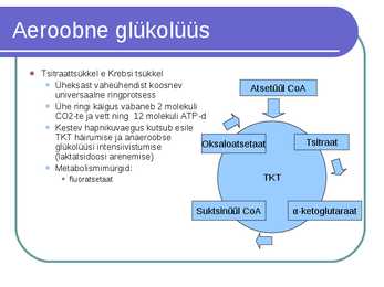 Süsivesikute ainevahetus ja labordiagnostika #39