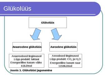 Süsivesikute ainevahetus ja labordiagnostika #8