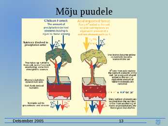 Happesademed esitlus #13